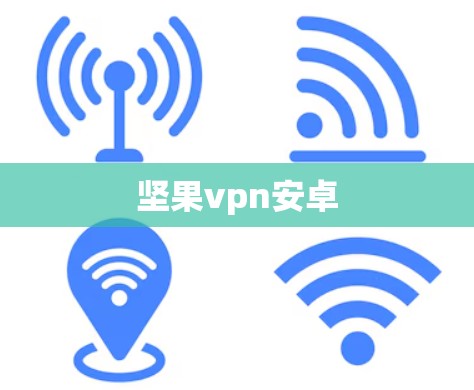 坚果vpn安卓